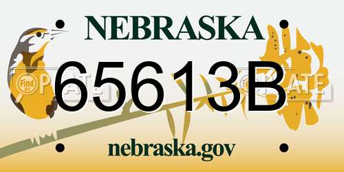 65613B Nebraska License Plate