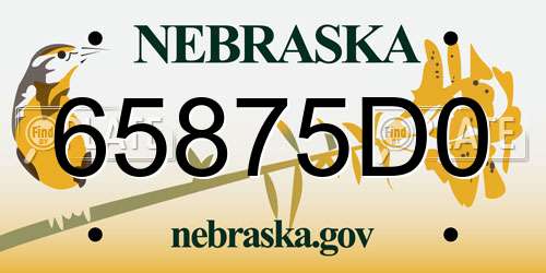 65875D0 Nebraska License Plate