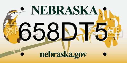 658DT5 Nebraska License Plate
