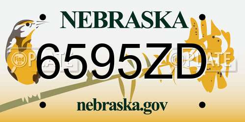 6595ZD Nebraska License Plate