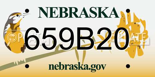 659B20 Nebraska License Plate