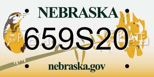 659S20 Nebraska License Plate