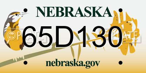 65D130 Nebraska License Plate