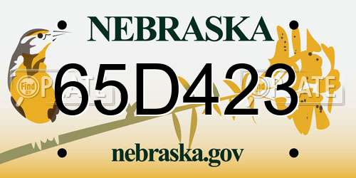 65D423 Nebraska License Plate