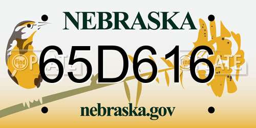65D616 Nebraska License Plate