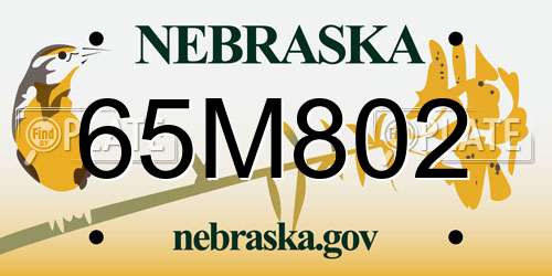 65M802 Nebraska License Plate