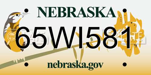 65WI581 Nebraska License Plate