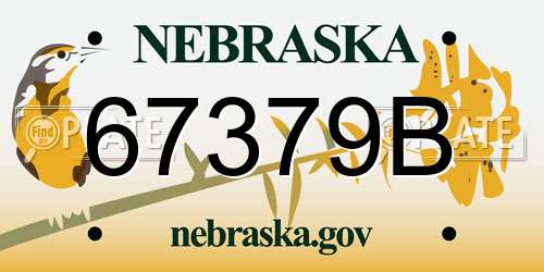 67379B Nebraska License Plate