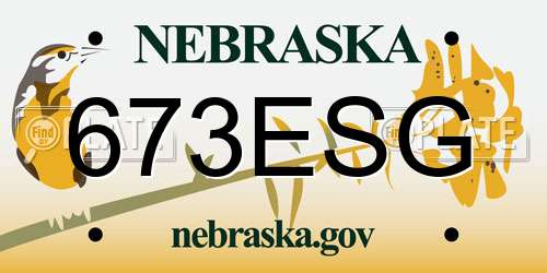 673ESG Nebraska License Plate