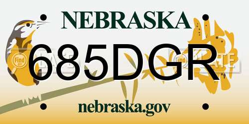 685DGR Nebraska License Plate