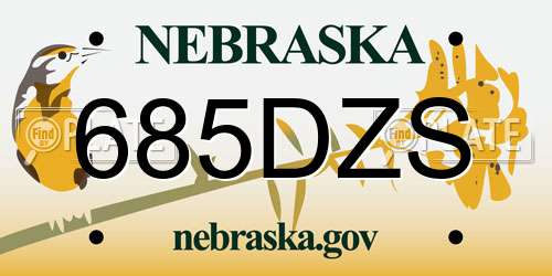 685DZS Nebraska License Plate