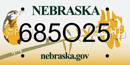 685O25 Nebraska License Plate