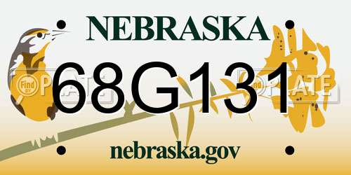 68G131 Nebraska License Plate