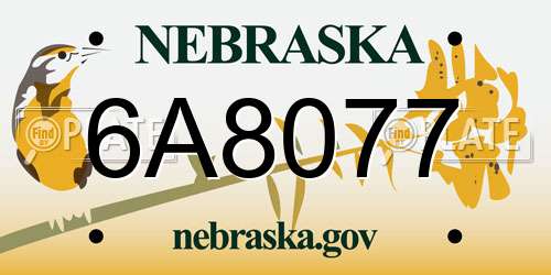 6A8077 Nebraska License Plate