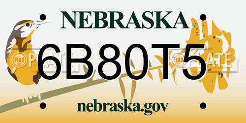 6B80T5 Nebraska License Plate