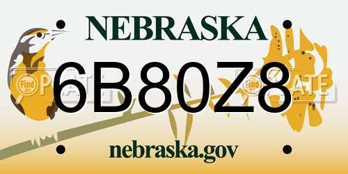 6B80Z8 Nebraska License Plate