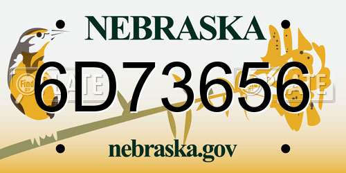 6D73656 Nebraska License Plate