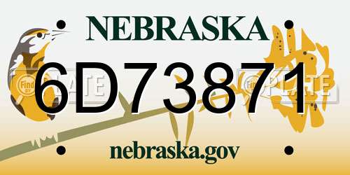 6D73871 Nebraska License Plate