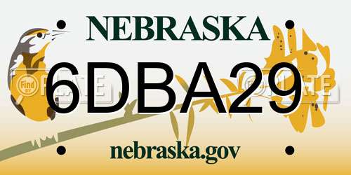 6DBA29 Nebraska License Plate