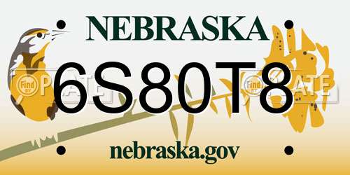 6S80T8 Nebraska License Plate
