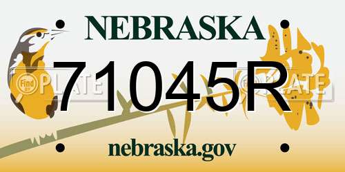 71045R Nebraska License Plate