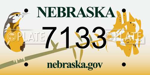 7133 Nebraska License Plate
