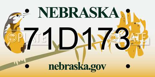 71D173 Nebraska License Plate