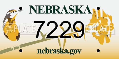7229 Nebraska License Plate