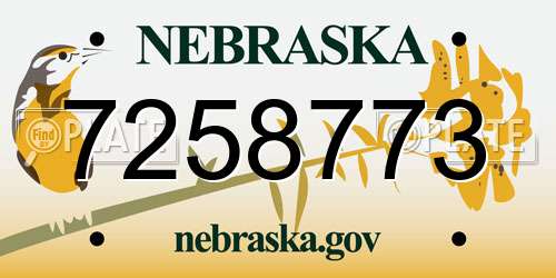 7258773 Nebraska License Plate