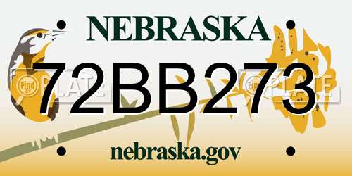 72BB273 Nebraska License Plate