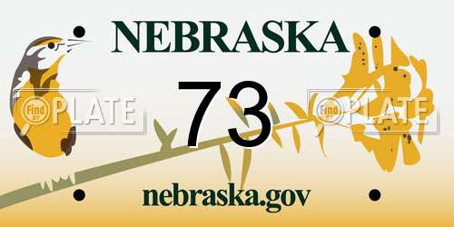 73 Nebraska License Plate