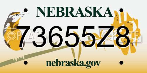 73655Z8 Nebraska License Plate