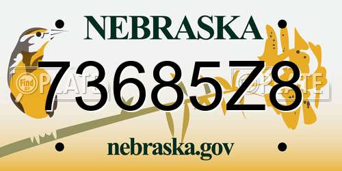 73685Z8 Nebraska License Plate