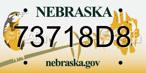73718D8 Nebraska License Plate