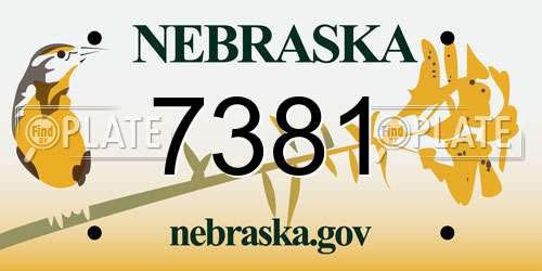 7381 Nebraska License Plate