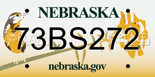 73BS272 Nebraska License Plate