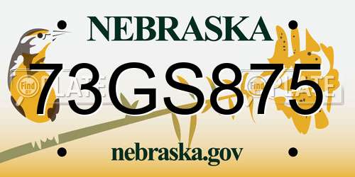 73GS875 Nebraska License Plate