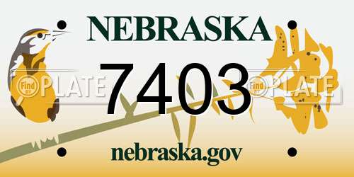 7403 Nebraska License Plate