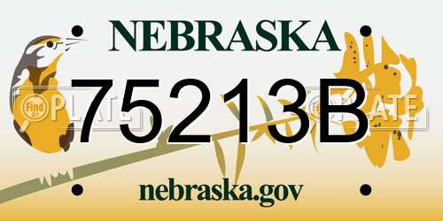 75213B Nebraska License Plate