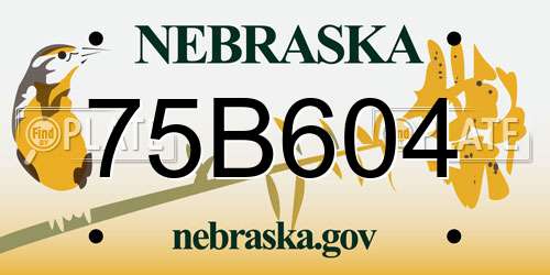75B604 Nebraska License Plate