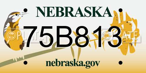75B813 Nebraska License Plate