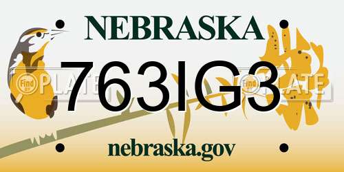 763IG3 Nebraska License Plate