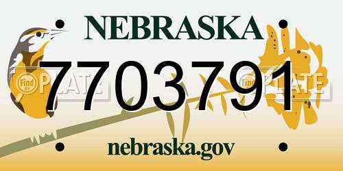 7703791 Nebraska License Plate