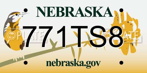 771TS8 Nebraska License Plate