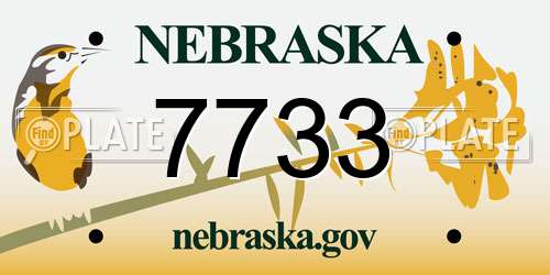 7733 Nebraska License Plate