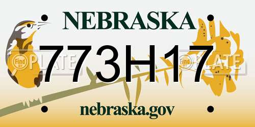 773H17 Nebraska License Plate