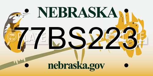 77BS223 Nebraska License Plate