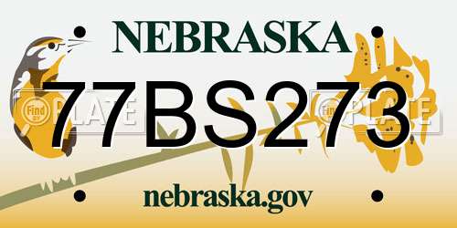 77BS273 Nebraska License Plate