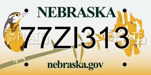 77ZI313 Nebraska License Plate