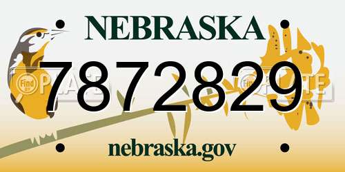 7872829 Nebraska License Plate